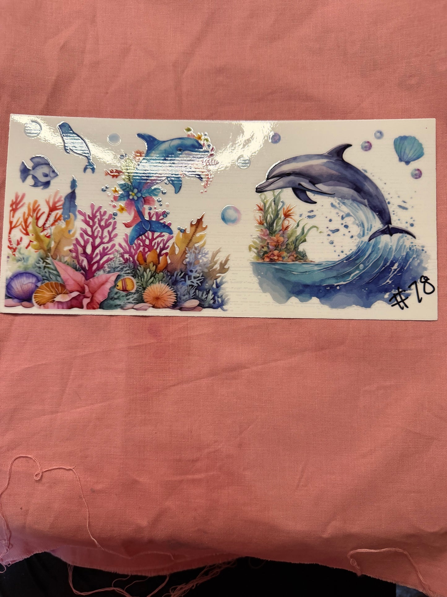 SEAL LIFE DOLPHIN CUP WRAP
