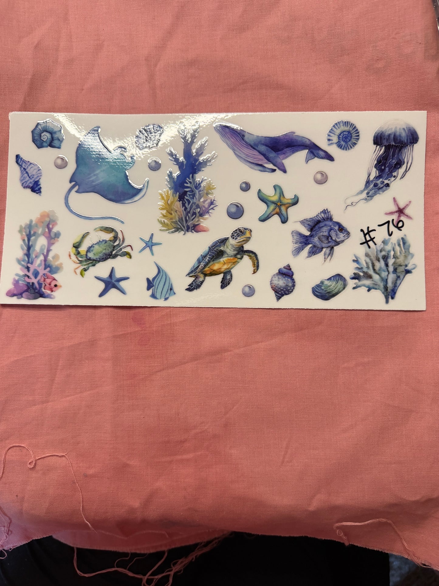 SEAL LIFE CREATURES CUP WRAP