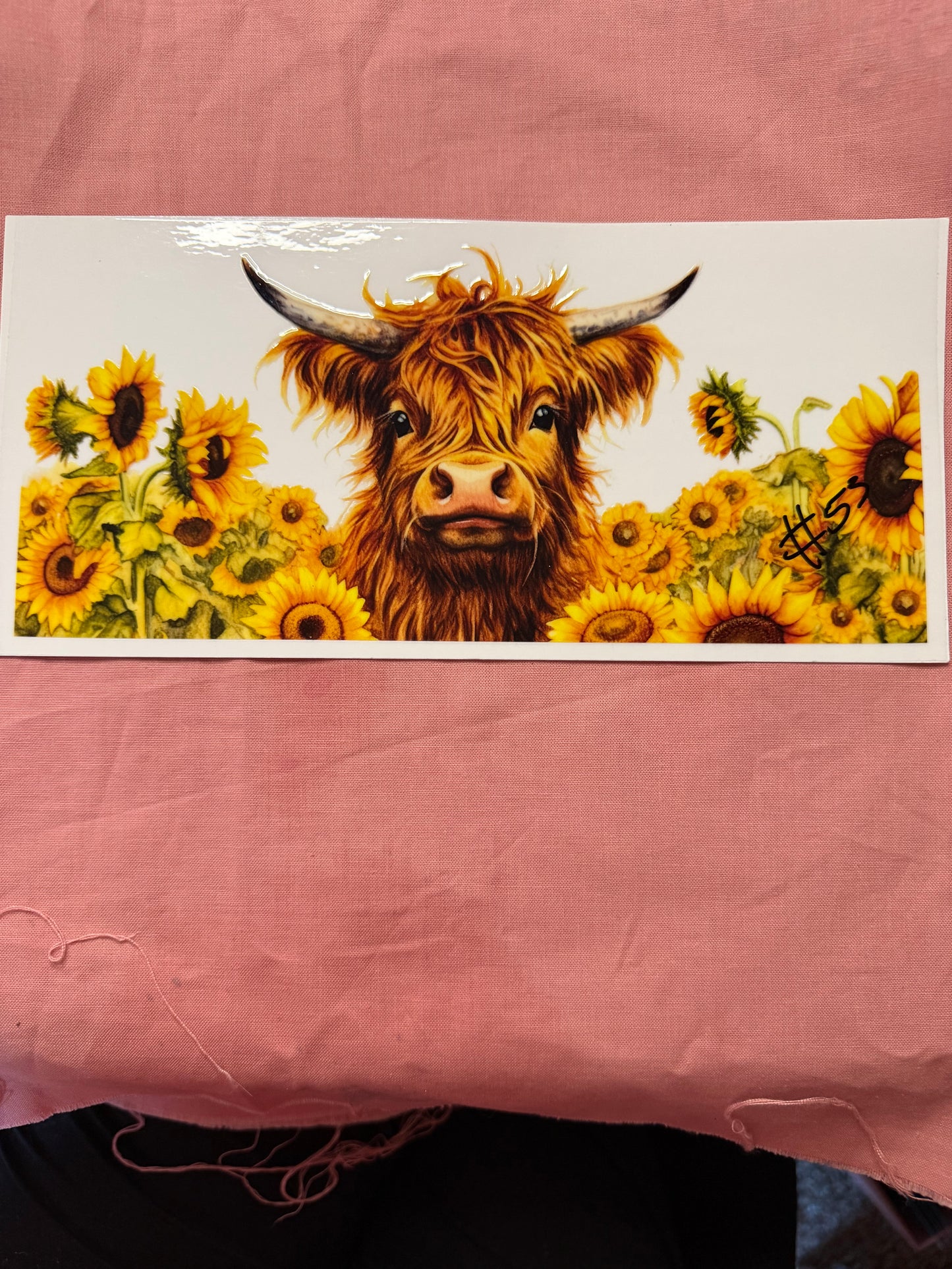 HIGHLAND COWS CUP WRAPS