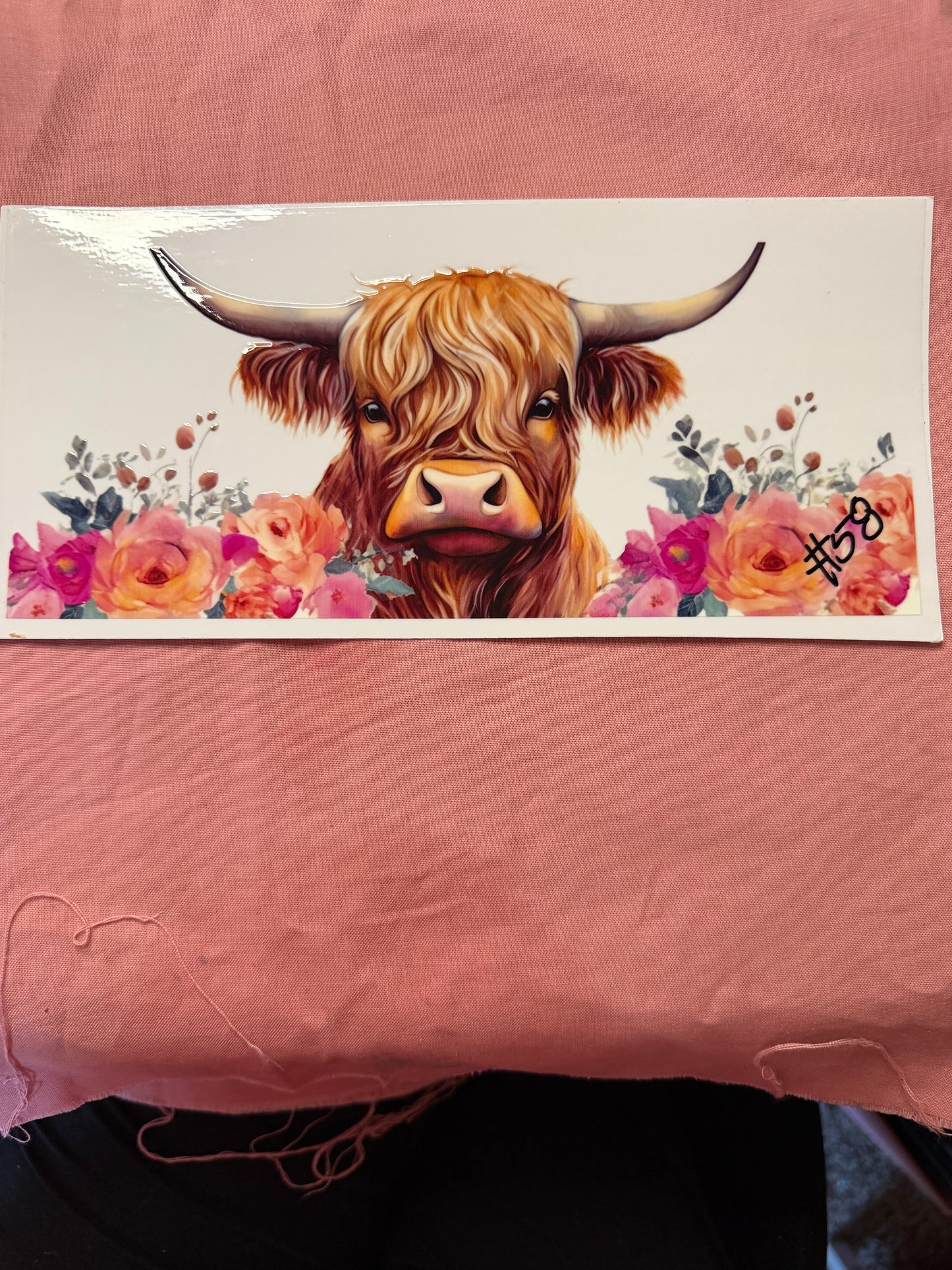 HIGHLAND COWS CUP WRAPS