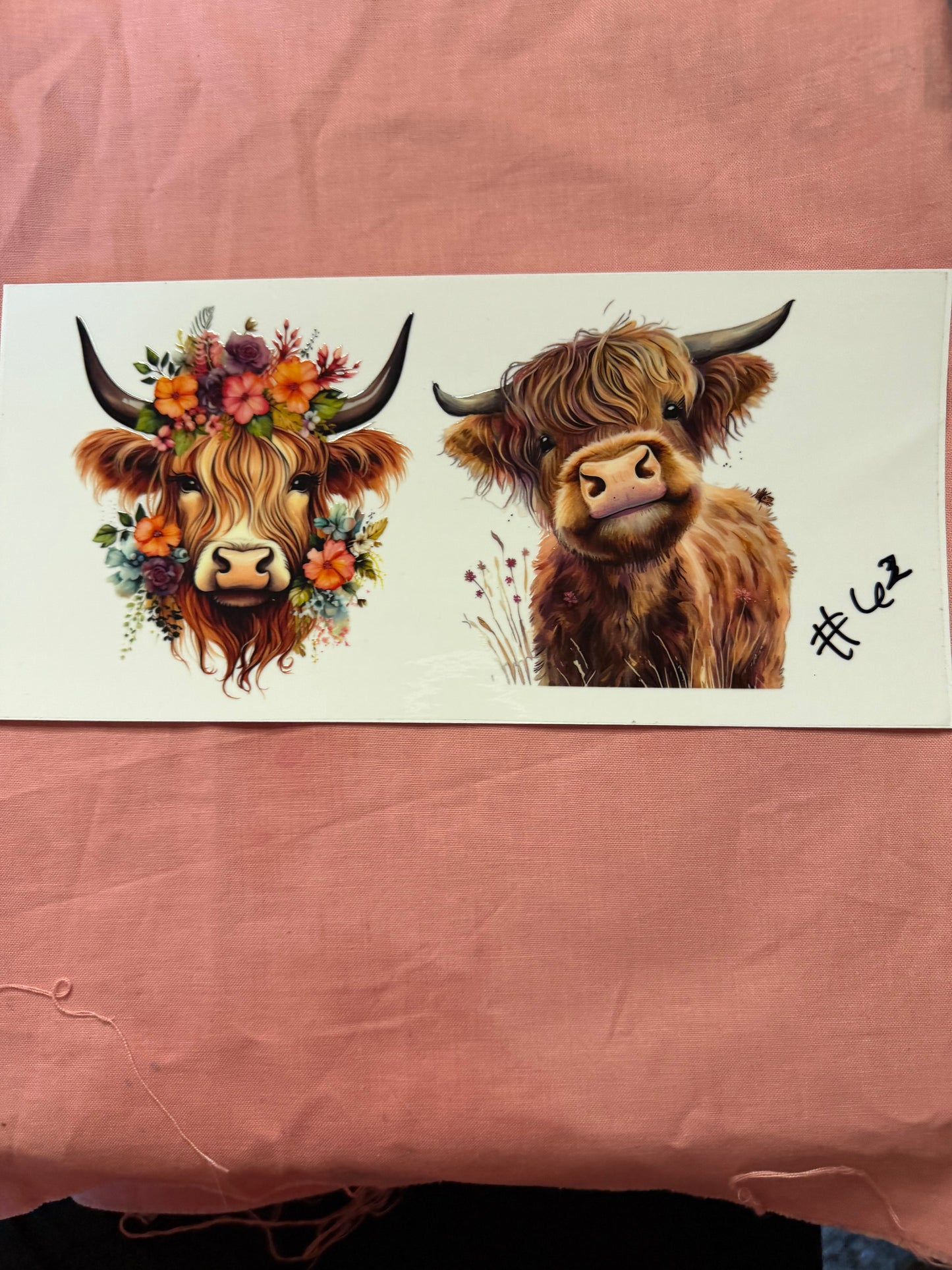 HIGHLAND COWS CUP WRAPS