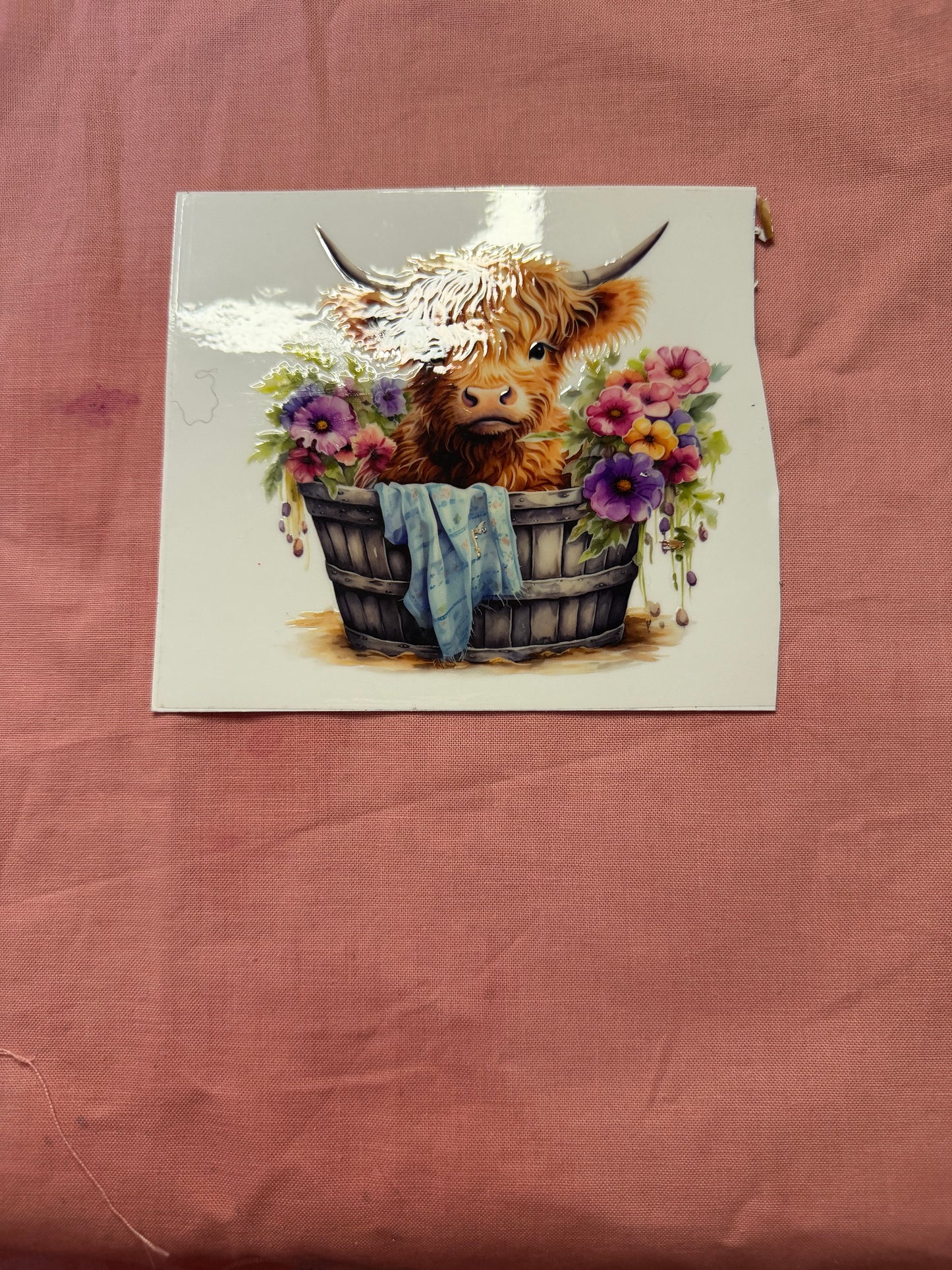 HIGHLAND COWS CUP WRAPS